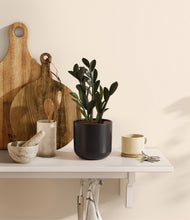 Load image into Gallery viewer, Stone Black