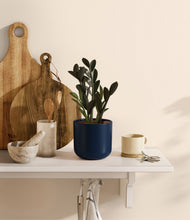 Load image into Gallery viewer, Twilight Blue