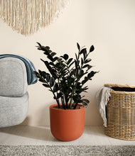 Load image into Gallery viewer, Earth Red