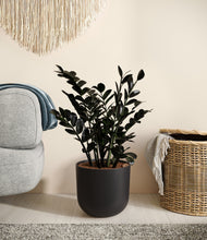 Load image into Gallery viewer, Stone Black