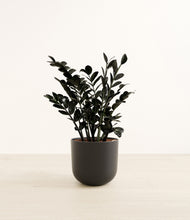 Load image into Gallery viewer, Stone Black*****Profile