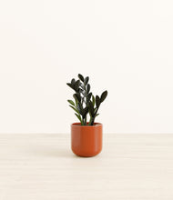 Load image into Gallery viewer, Glossy Red*****Profile