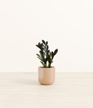 Load image into Gallery viewer, Glossy Pink*****Profile