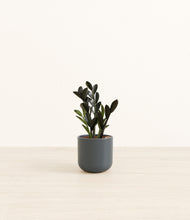 Load image into Gallery viewer, Iron Gray*****Profile