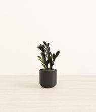 Load image into Gallery viewer, Stone Black*****Profile