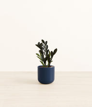 Load image into Gallery viewer, Twilight Blue*****Profile