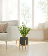 Load image into Gallery viewer, Dark Olive stand:bamboo