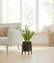 Load image into Gallery viewer, Black stand:walnut