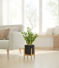 Load image into Gallery viewer, Black stand:bamboo