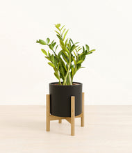 Load image into Gallery viewer, Black stand:bamboo