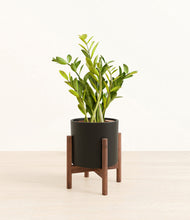 Load image into Gallery viewer, Black stand:walnut