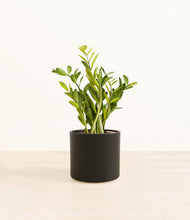 Load image into Gallery viewer, Black*****Profile