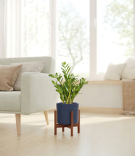 Load image into Gallery viewer, Deep Navy stand:walnut