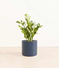 Load image into Gallery viewer, Deep Navy*****Profile