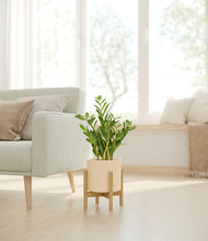 Load image into Gallery viewer, Cream stand:bamboo