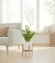 Load image into Gallery viewer, White stand:bamboo