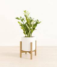 Load image into Gallery viewer, White stand:bamboo