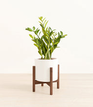 Load image into Gallery viewer, White stand:walnut