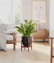 Load image into Gallery viewer, Stone Black stand:walnut