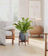 Load image into Gallery viewer, Iron Gray stand:walnut