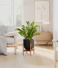 Load image into Gallery viewer, Stone Black stand:bamboo