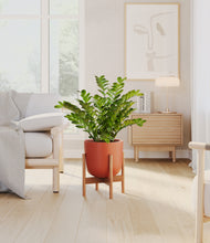 Load image into Gallery viewer, Earth Red stand:bamboo