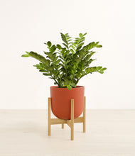 Load image into Gallery viewer, Earth Red stand:bamboo