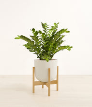 Load image into Gallery viewer, Natural Bamboo stand:bamboo