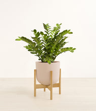 Load image into Gallery viewer, Sandy Pink stand:bamboo