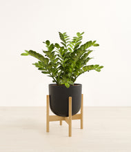 Load image into Gallery viewer, Stone Black stand:bamboo