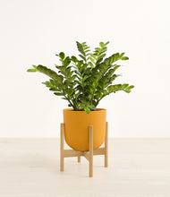 Load image into Gallery viewer, Sunset Orange stand:bamboo