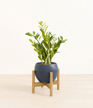 Load image into Gallery viewer, Deep Navy stand:bamboo
