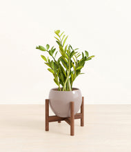 Load image into Gallery viewer, Winter Clouds stand:walnut