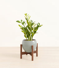 Load image into Gallery viewer, Deep Ocean stand:walnut