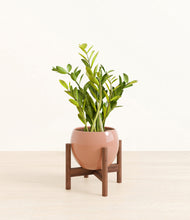 Load image into Gallery viewer, Calm Rose stand:walnut