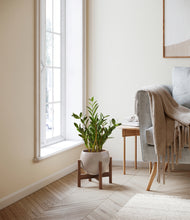 Load image into Gallery viewer, Winter Clouds stand:walnut