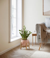 Load image into Gallery viewer, Calm Rose stand:bamboo