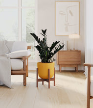 Load image into Gallery viewer, Sunset Orange stand:walnut