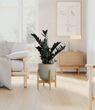 Load image into Gallery viewer, Sage Green stand:bamboo