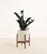 Load image into Gallery viewer, Natural Bamboo stand:walnut