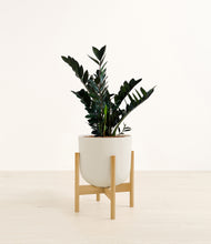 Load image into Gallery viewer, Natural Bamboo stand:bamboo
