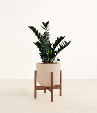 Load image into Gallery viewer, Sandy Pink stand:walnut