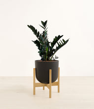 Load image into Gallery viewer, Stone Black stand:bamboo