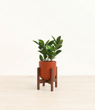 Load image into Gallery viewer, Earth Red stand:walnut