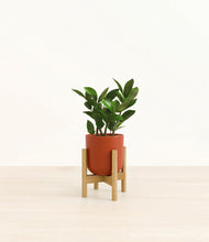 Load image into Gallery viewer, Earth Red stand:bamboo