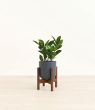 Load image into Gallery viewer, Iron Gray stand:walnut