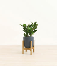 Load image into Gallery viewer, Iron Gray stand:bamboo