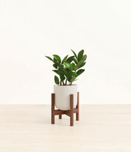 Load image into Gallery viewer, Natural Bamboo stand:walnut
