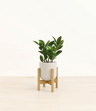 Load image into Gallery viewer, Natural Bamboo stand:bamboo