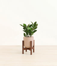 Load image into Gallery viewer, Sandy Pink stand:walnut